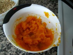mashed pumpkin--the consistency of mashed potatoes. 