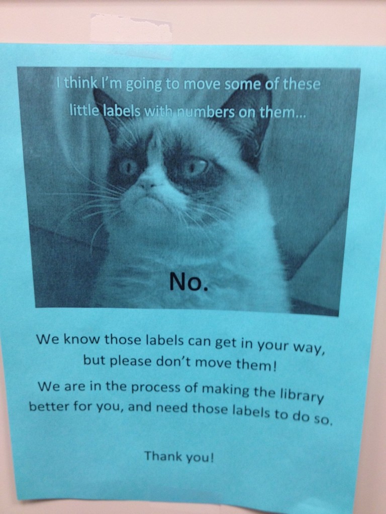 grumpy cat depaul library